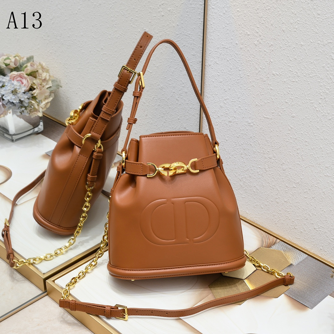 Diiior + Lady Diiior + Saddle Bag #2188