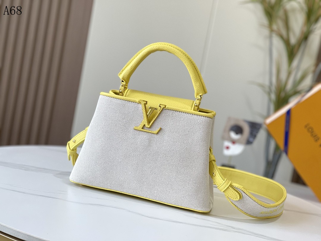 LVutton + A68 + Capucines Bag #4387