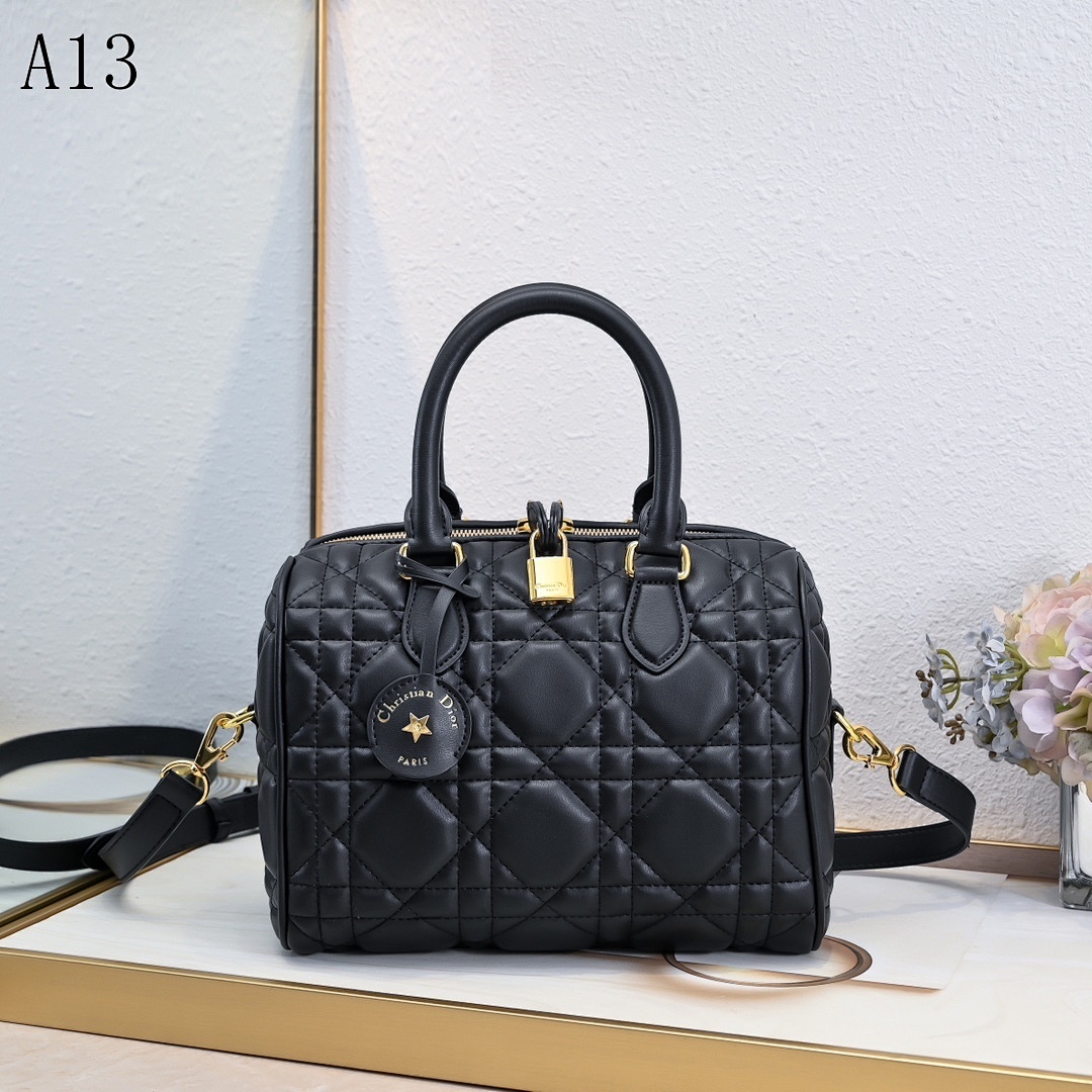 Christian Diiior + A13 + Lady Diiior Bag #3481