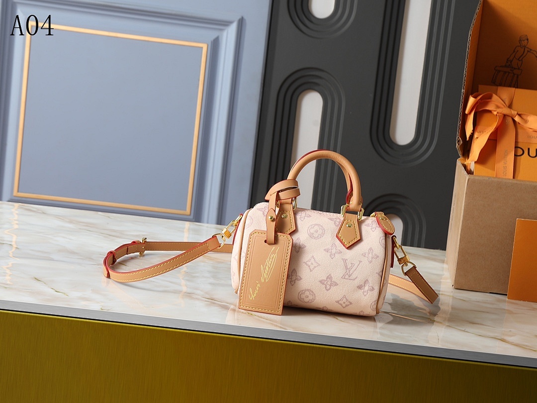 LVutton + A04 + Mini Speedy Bag #4548
