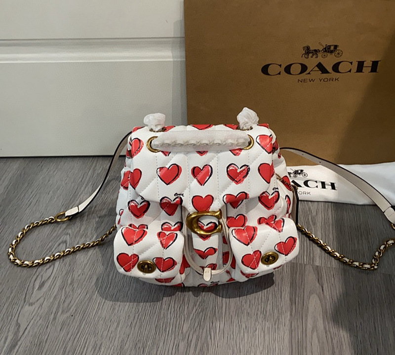Coacch CBR78 Heart Print Quilted Crossbody Bag