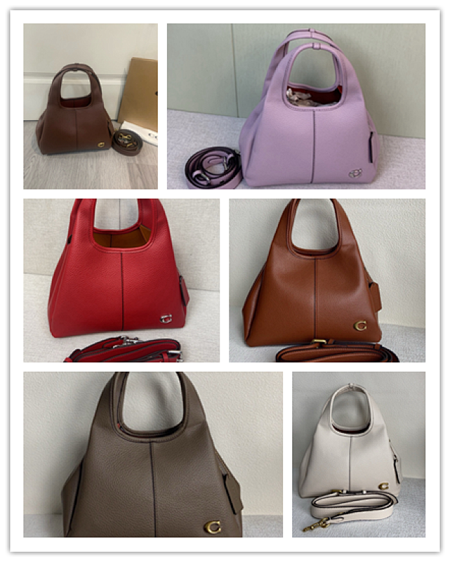 Coacch CM545 LANA Hobo Bag in Multiple Colors