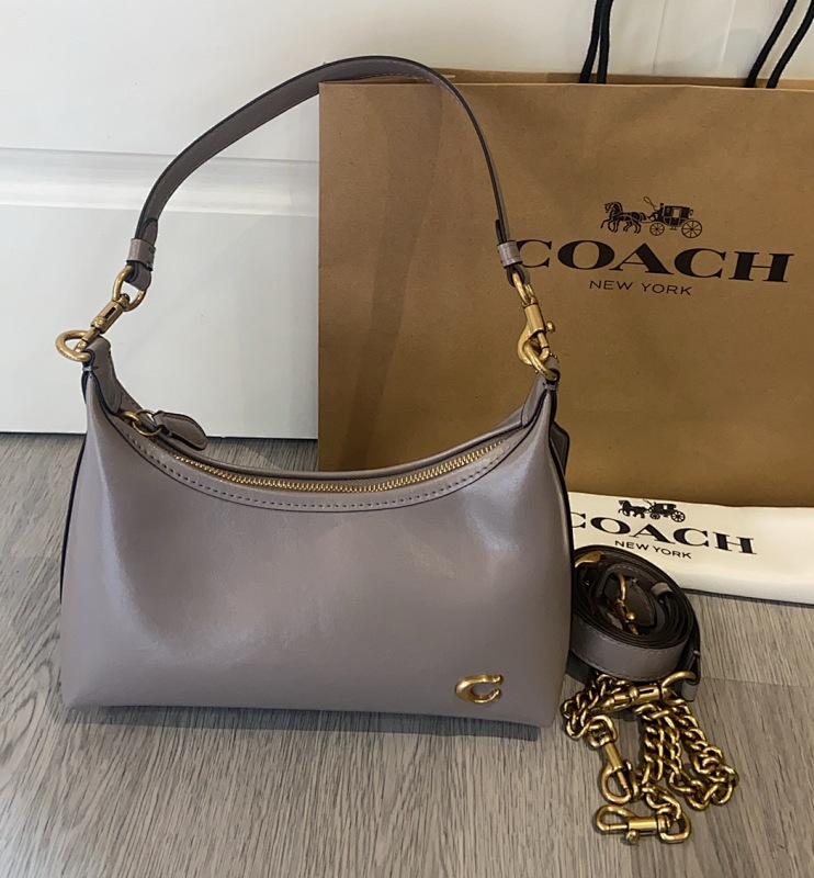 Coacch CAD75 Small Hobo Bag in Matte Leather